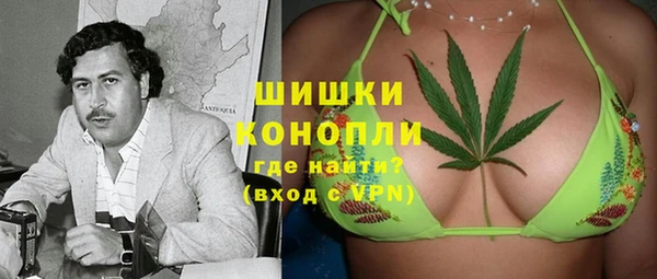 эйфоретик Аркадак