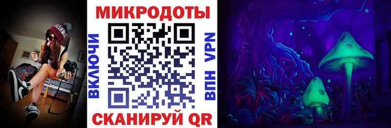 что такое Осташков Псилоцибиновые грибы мицелий
